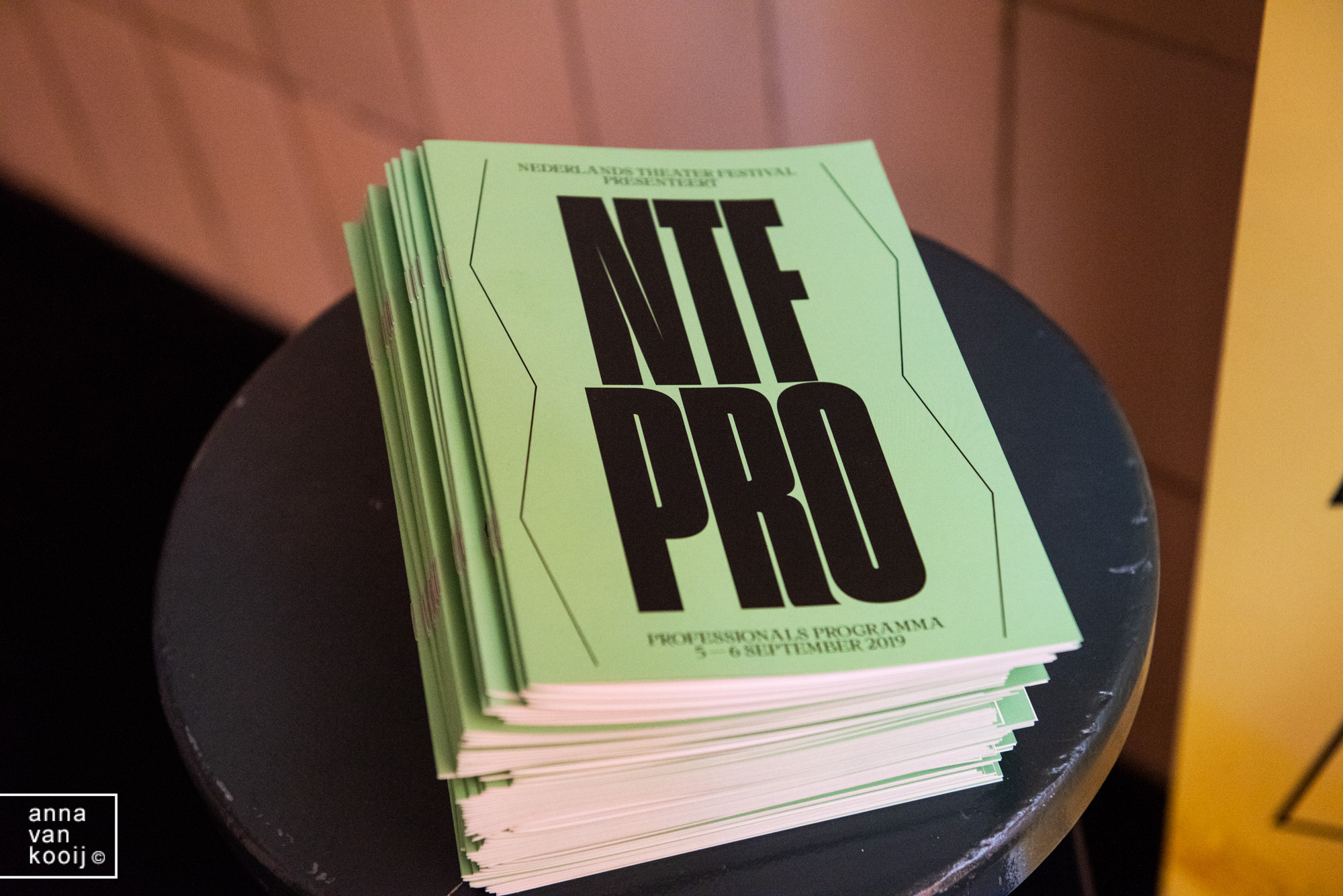 NederlandsTheaterFestival-AnnavanKooij-3098